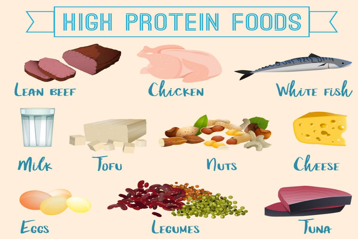 What Is High Protein Foods Definition 15 Types Of High Protein