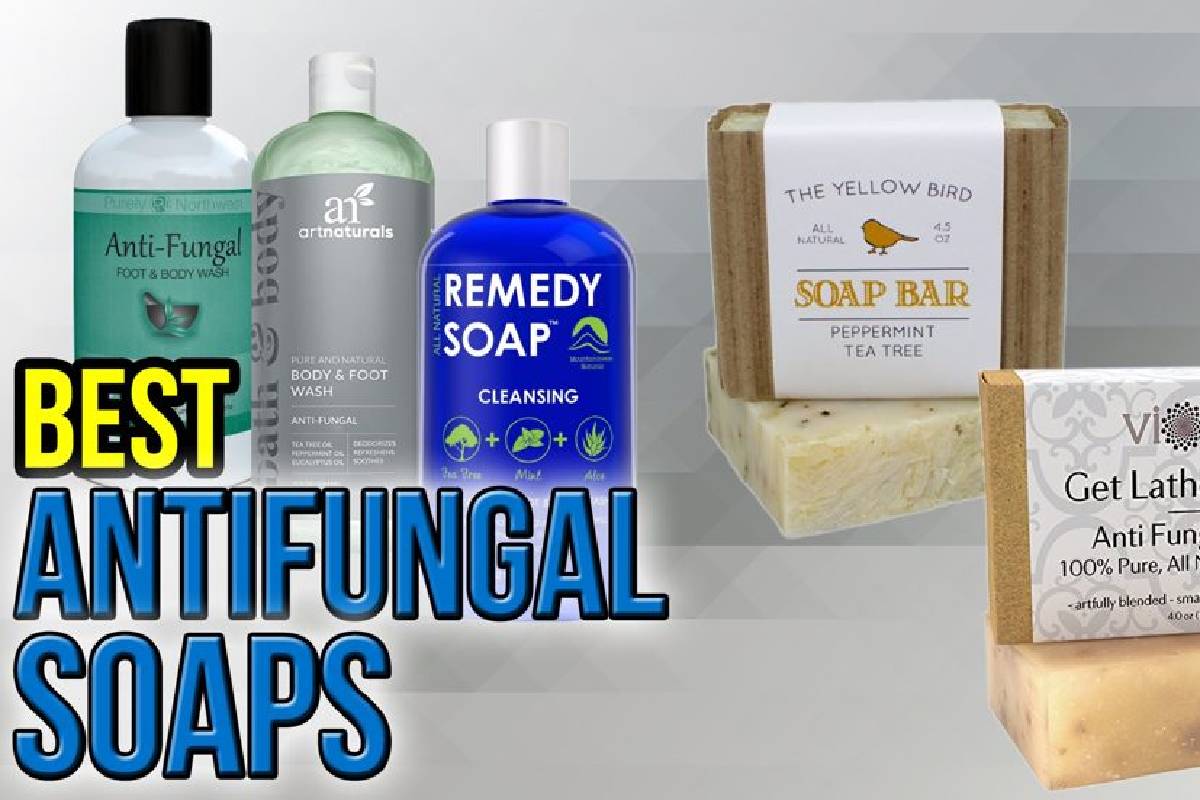 Soap For Fungal Infection Description Risk Factors And Best