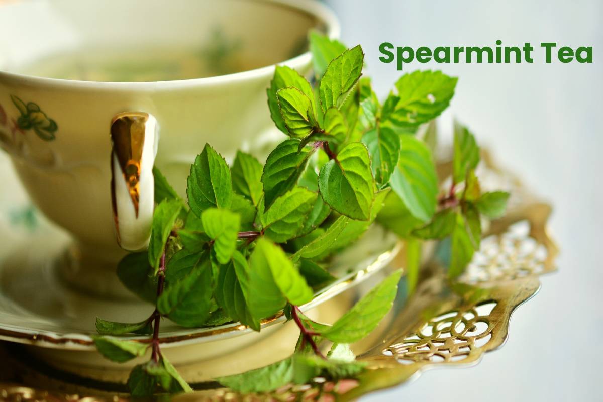 What Is Spearmint Tea Definition Preparation And More