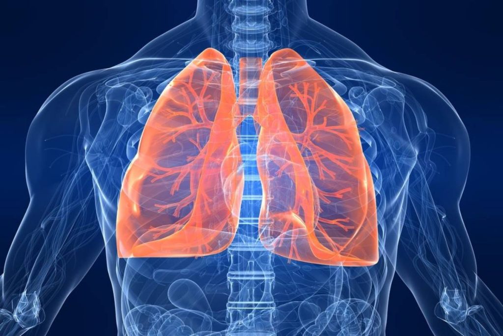 how-to-keep-your-healthy-lungs-definition-8-types-of-healthy-lungs